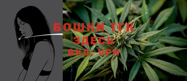 mdpv Богородск
