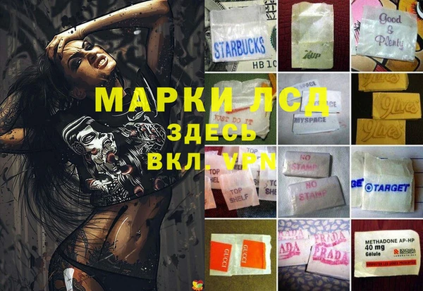 mdpv Богородск