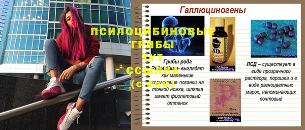 меф Богородицк