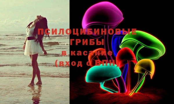бошки Богданович