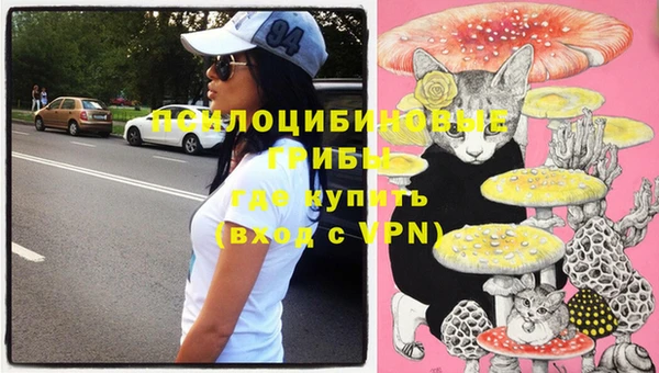 бошки Богданович